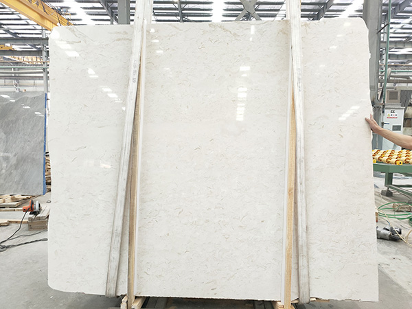 shell white limestone (5)-600.jpg